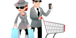 Internal Audit Procedures (Admin)